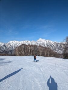 不動産鑑定士試験合格者のため実務修習先の選び方