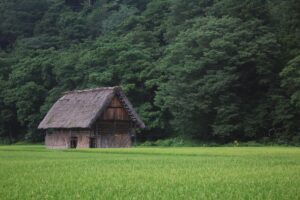 市街化調整区域の土地。「お隣さんに売る」ときの、賢い契約サポートの選び方